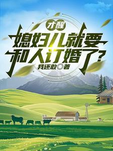 今天离婚吗 凤梧