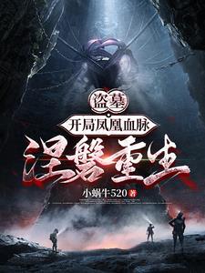 哪本男主叫陆祁