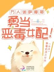 惜花芷皓月是什么人