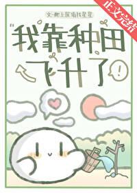 泊安飞